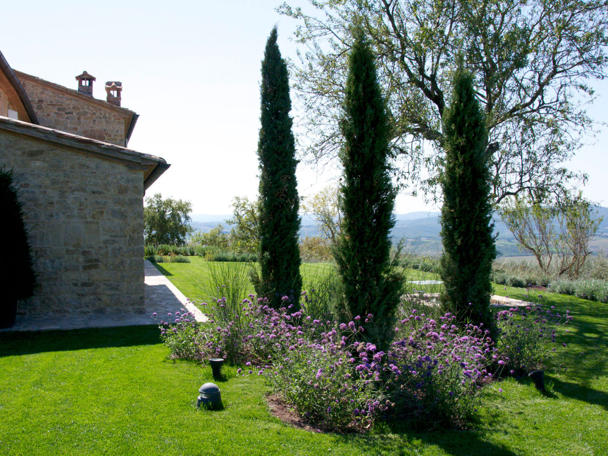 Garden photography with plants and greenery