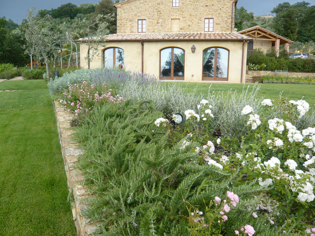 Country house garden with lavender and rose borders