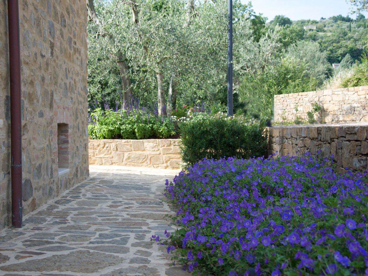 Ornamental garden with native grasses and perennials