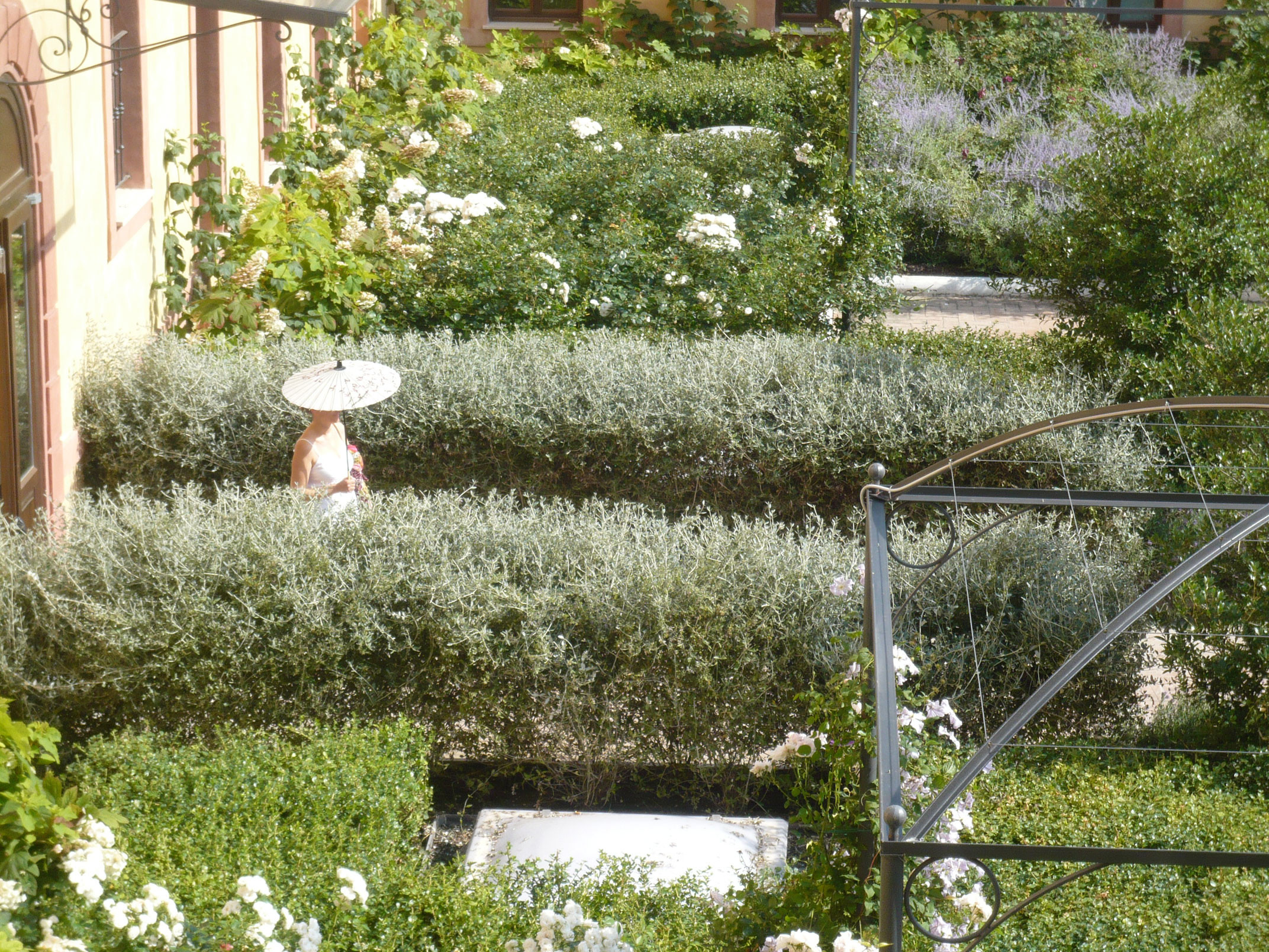 Roof garden - rooftop landscape design