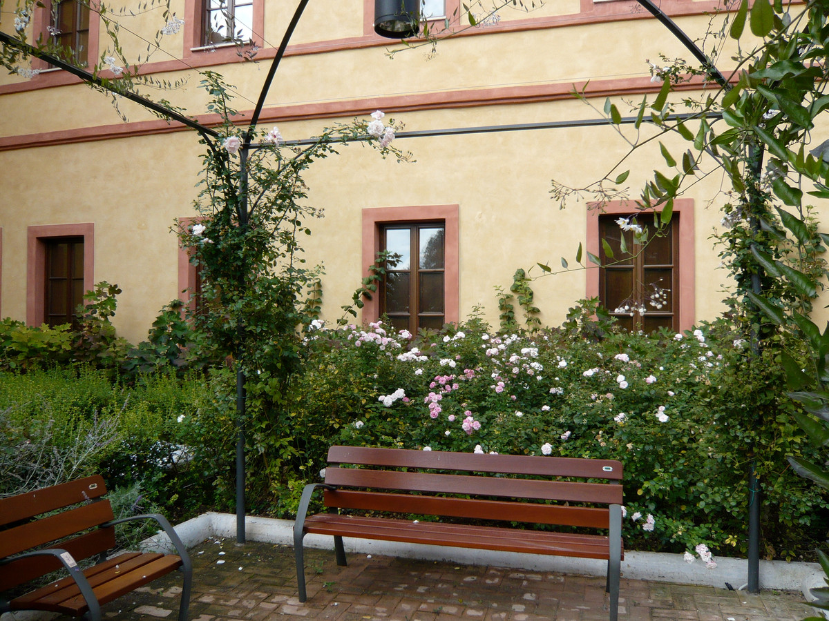 Roof garden - elevated landscape design
