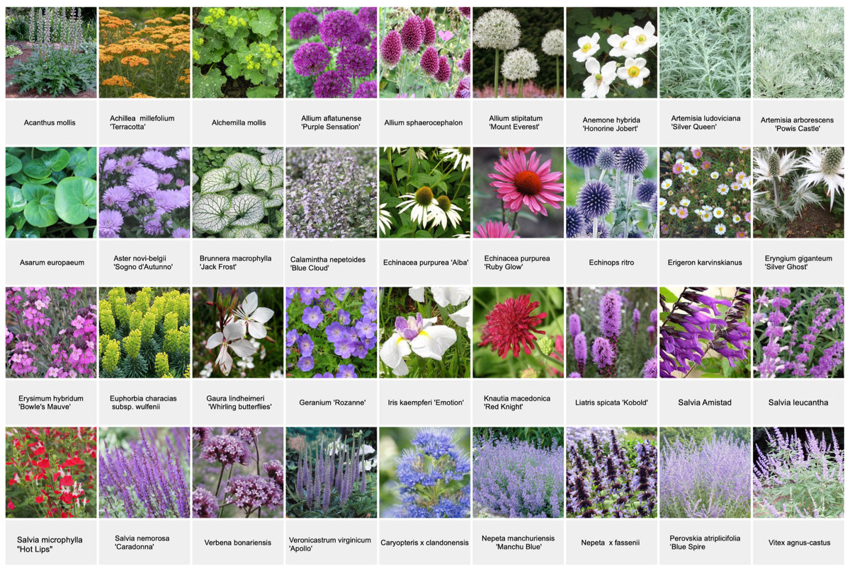 Plant list reference sheet 1